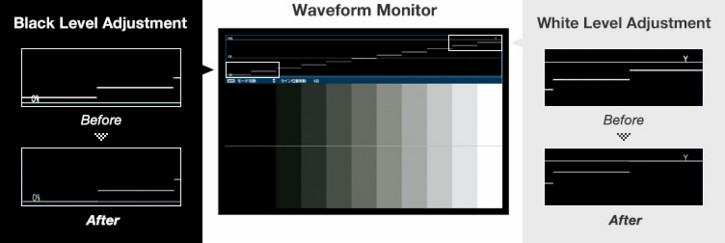    Waveform Monitor