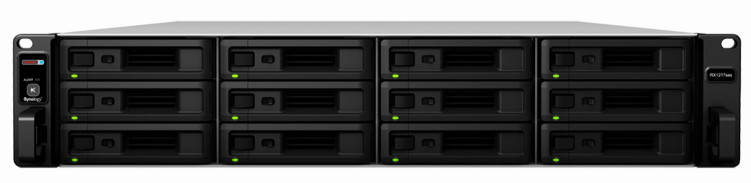 12-   eSATA        Synology   RX1217sas -  