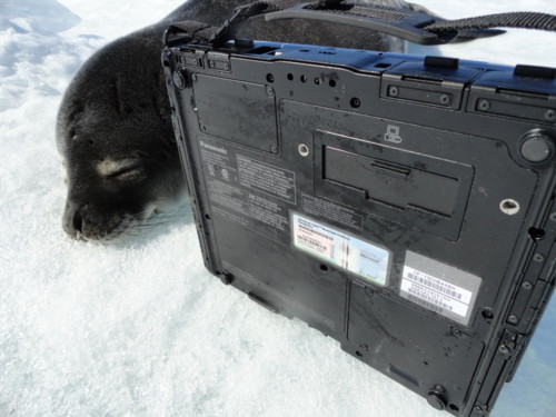 Panasonic Toughbook CF-19 в Антарктиде