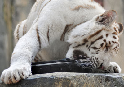 Как я смогу открыть это?