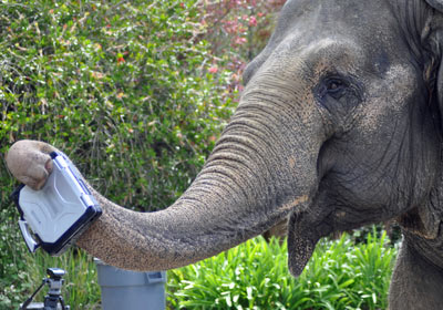 Тест на падение Toughbook CF-30